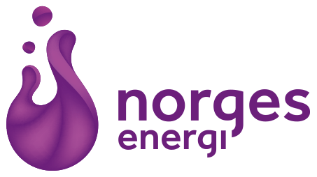 NorgesEnergi logo png